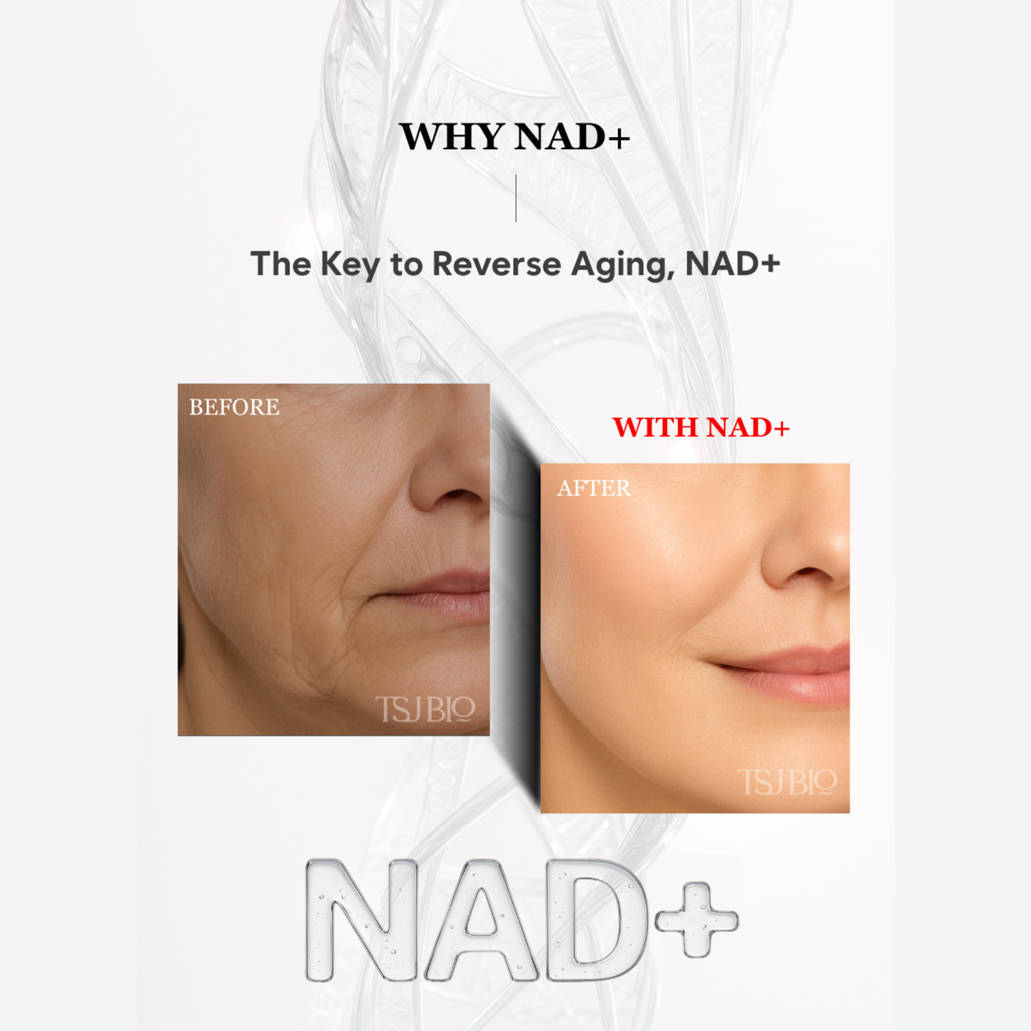 TSJ BIO NAD+ Incredible Serum