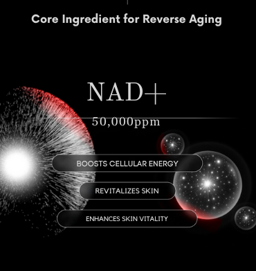 TSJ BIO NAD+ Energy Cream